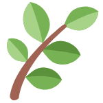 Metabound Caps avaliações